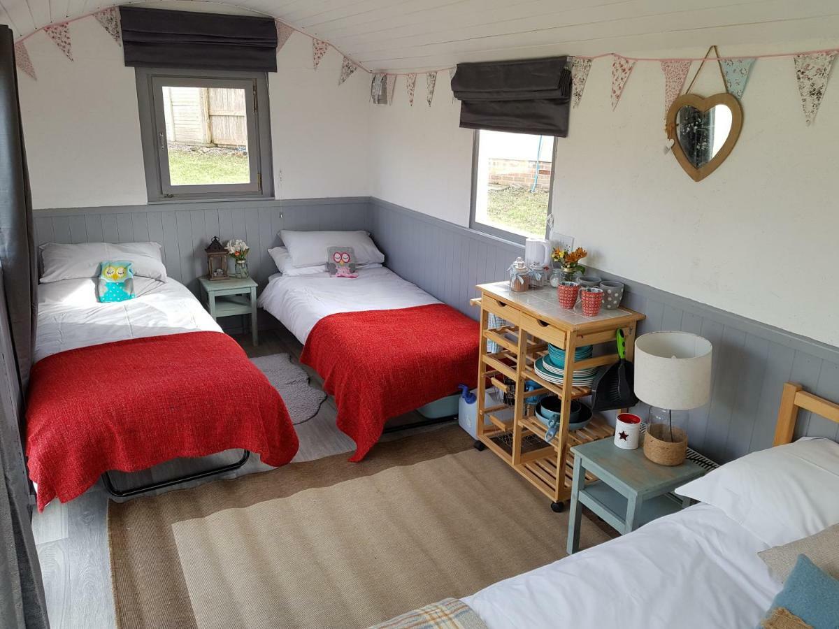 Acorn Camping And Caravan Park Лантуит Мейджър Екстериор снимка